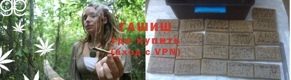 шишки Белокуриха