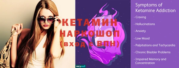 шишки Белокуриха