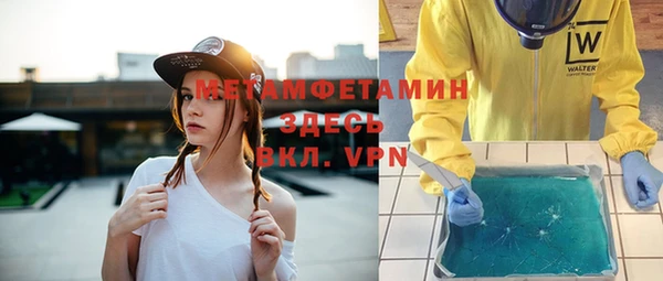 шишки Белокуриха