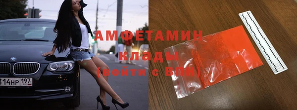 шишки Белокуриха