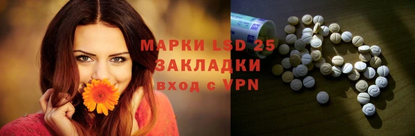 шишки Белокуриха