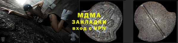 шишки Белокуриха