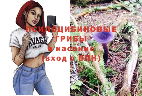 шишки Белокуриха