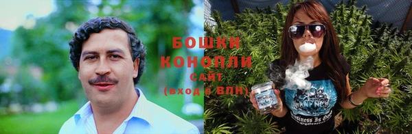 дживик Белоозёрский