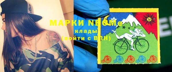 шишки Белокуриха